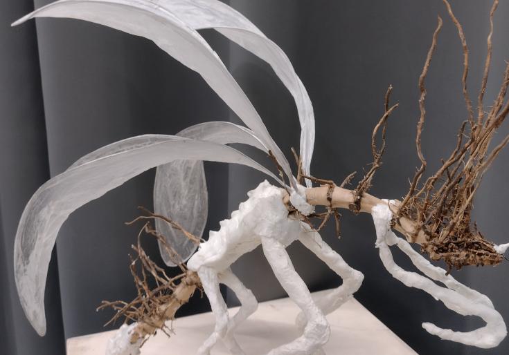 Werk uit het atelier Crossover